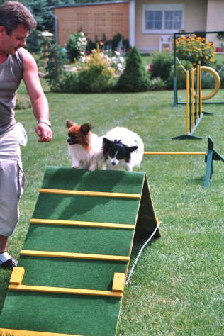 Herrchen zeigt wos lang geht