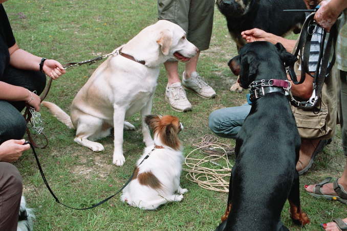 man sind die alle gro