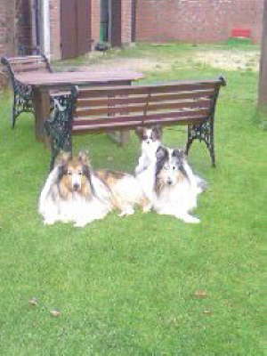 Freunde zum Schmusen.