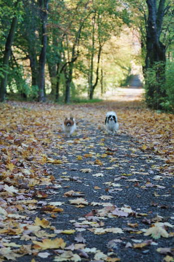 Nach dem Training gehts rund!