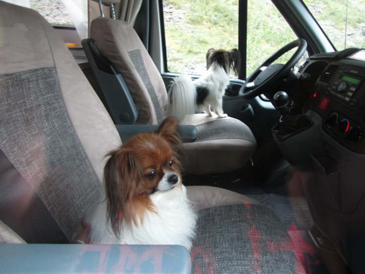 Fahrer und Beifahrer