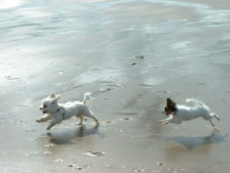 Und neue Kumpels gabs auch.