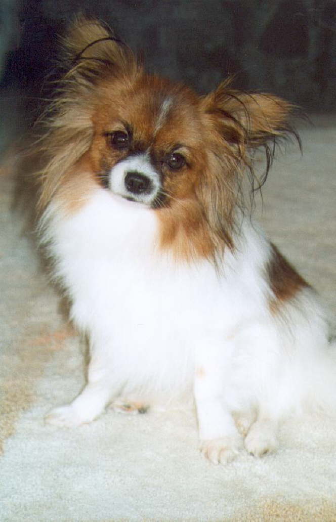 Tilli ist eine S��e