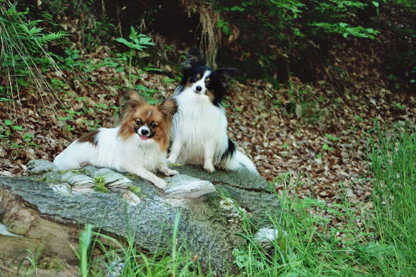 kommt, fr euch ist auch noch Platz