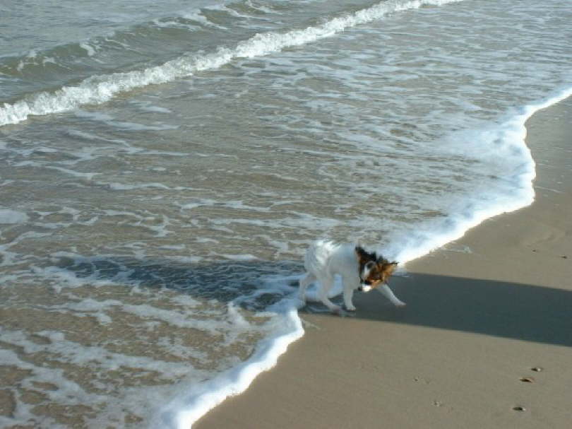 Hey wieso kommt das Wasser hinterher?