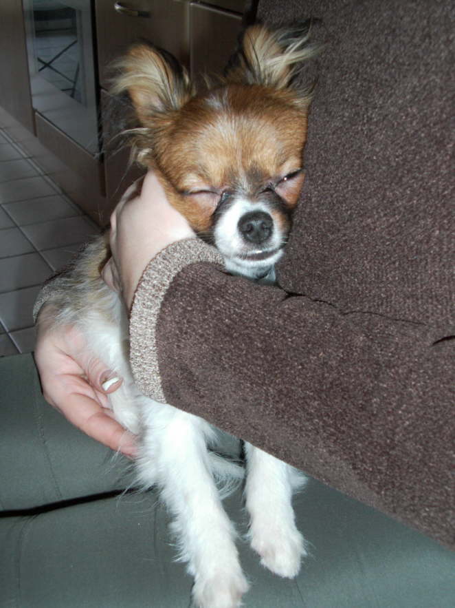 Zum Glck gibts dann Streicheleinheiten.