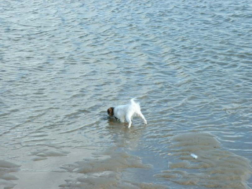 Blo gut, dass ich lange Beine hab.