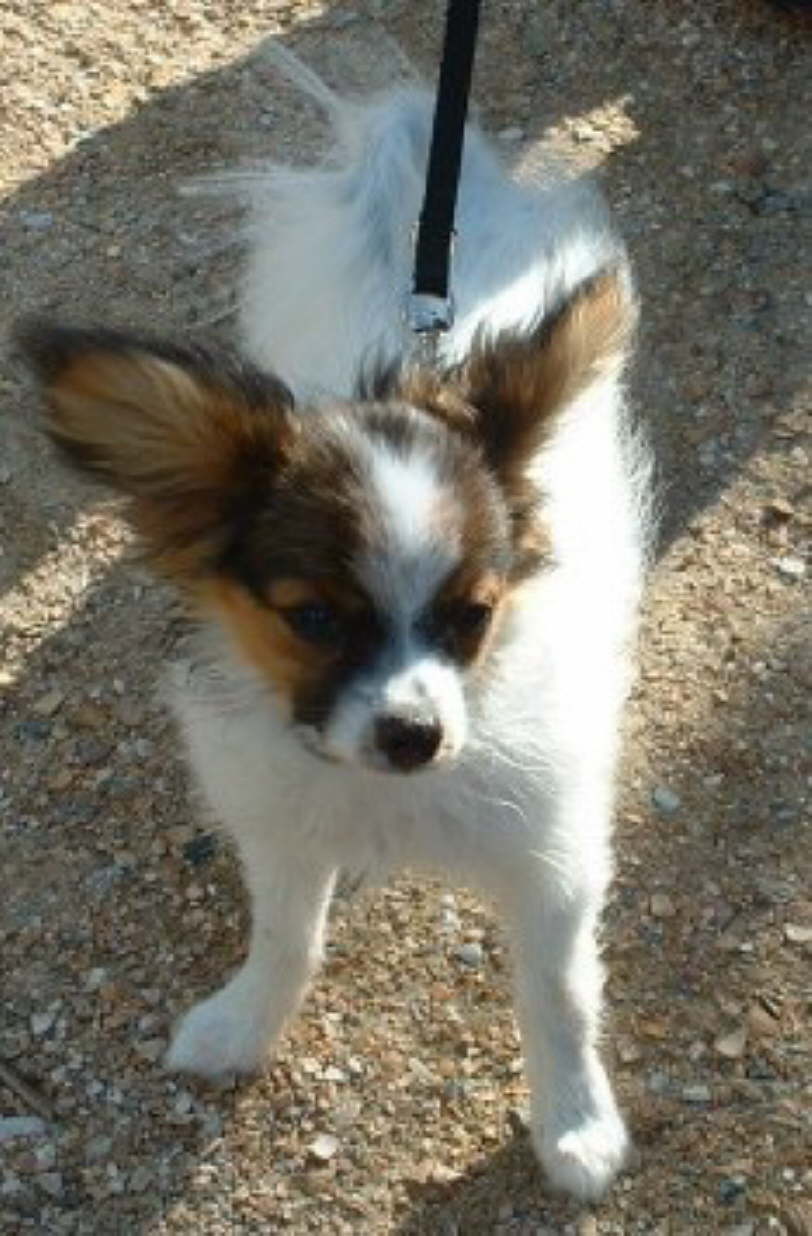 So hbsch bin ich geworden.