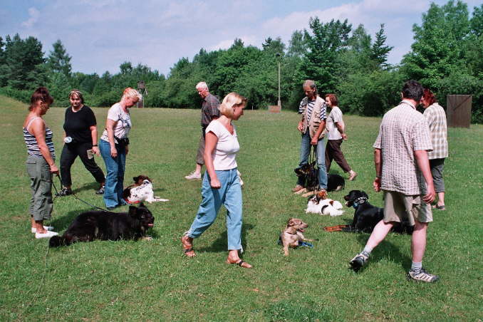 wo wollen die alle hin