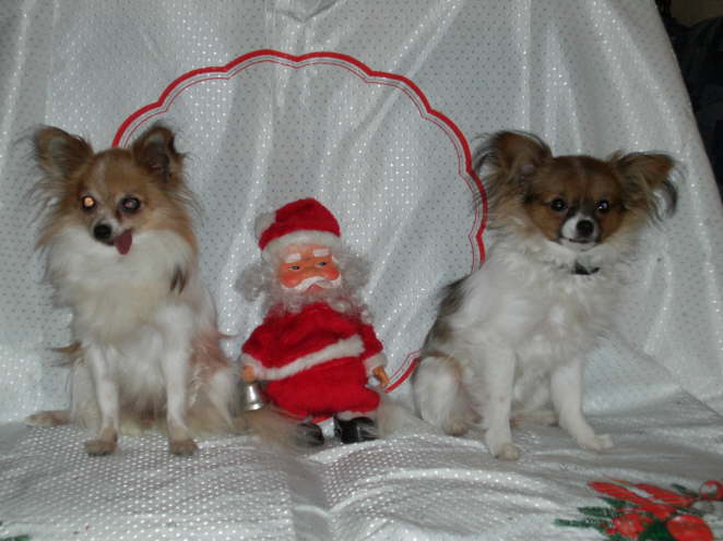 Warten auf den Weihnachtsmann.