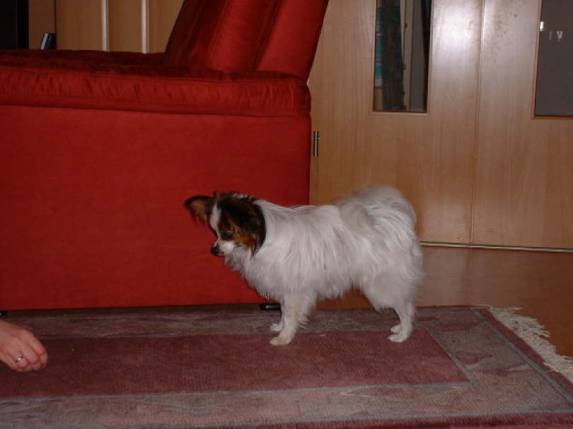 Na, was gibts denn da?