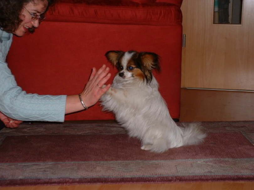 Kann ich das nicht prima!