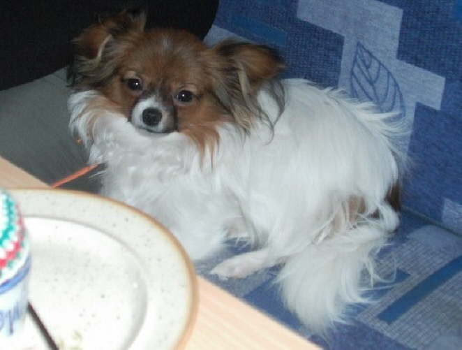 Kuscheln ist ja sooo sch�n.