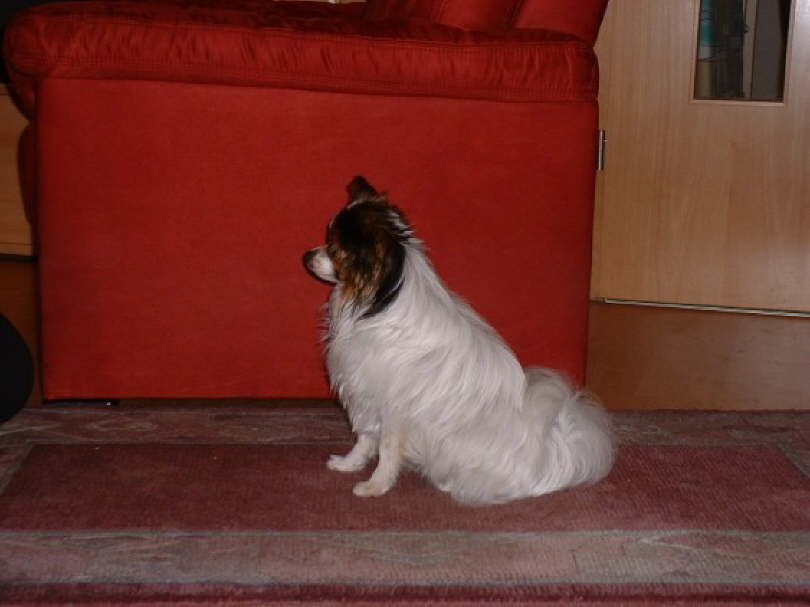 Jetzt muss ich mich wieder konzentrieren.