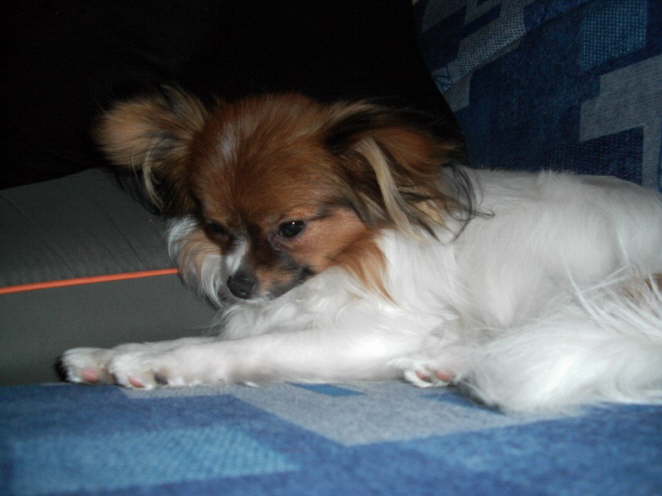 Manchmal mache ich ein Nickerchen.