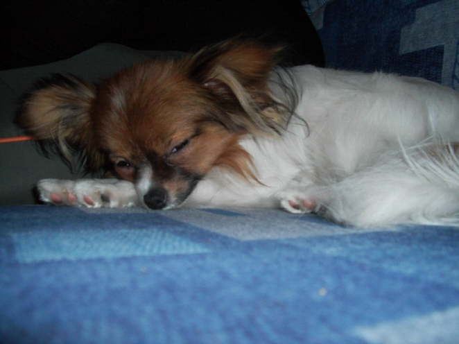 Dann steigen die Chancen