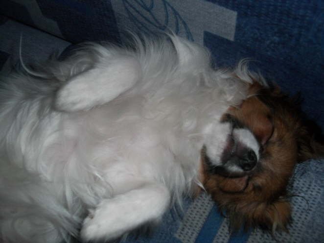 dass ich auf einem Foto