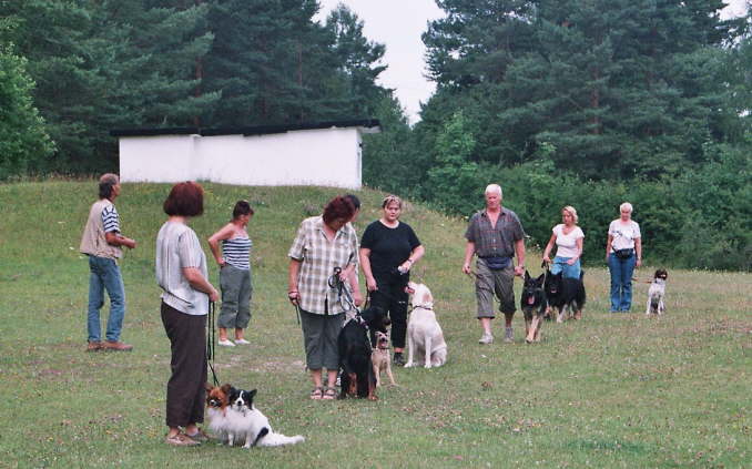 immer sch�n der Reihe nach