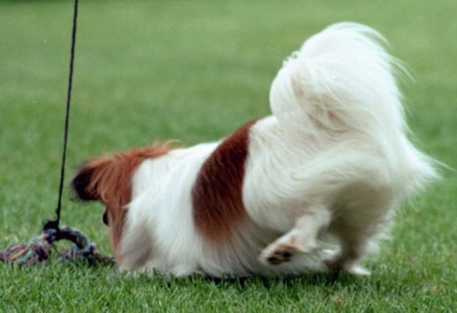 dann schnapp ich dich