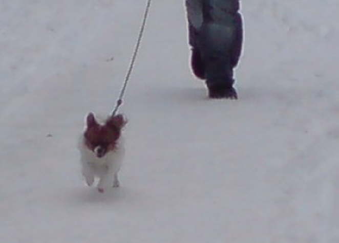 Wir hatten sogar Schnee!