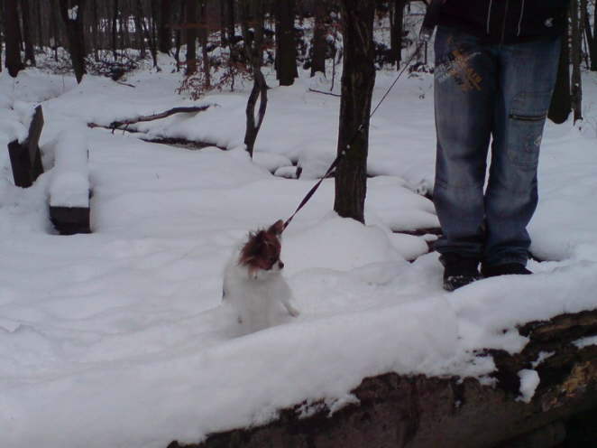 Da will ich gern noch ne Runde toben.