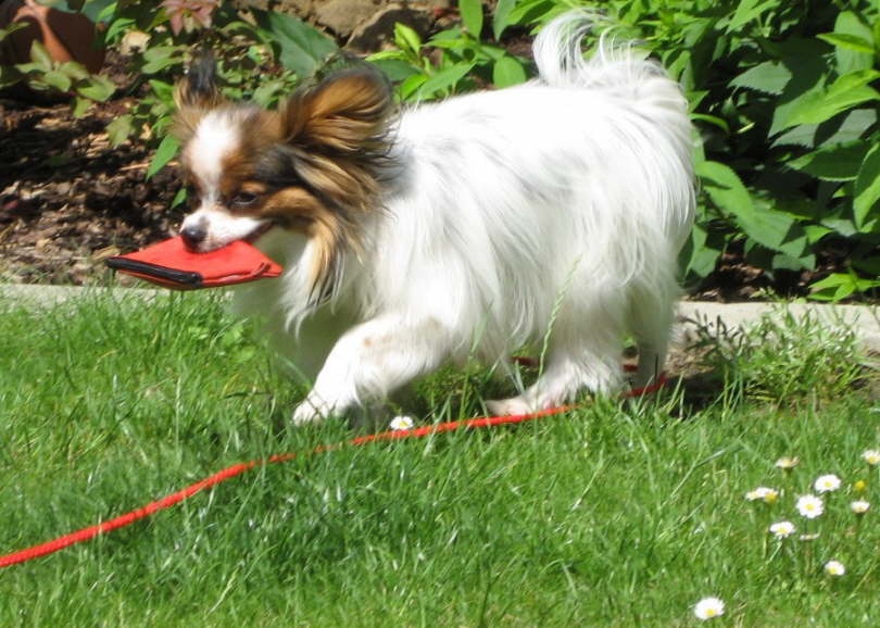 Da sind Leckerchen drin