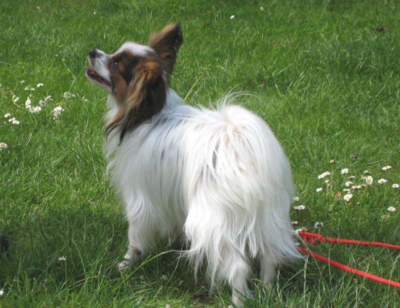 Gleich gibts die Belohnung.