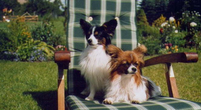 guck mal ich bin schon ganz braun