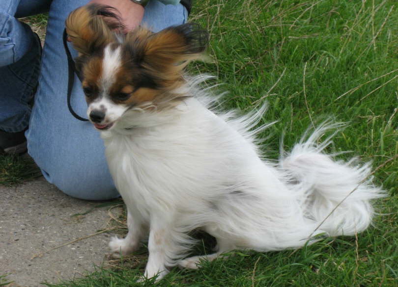 Gut, dass ich an der Leine fest bin.