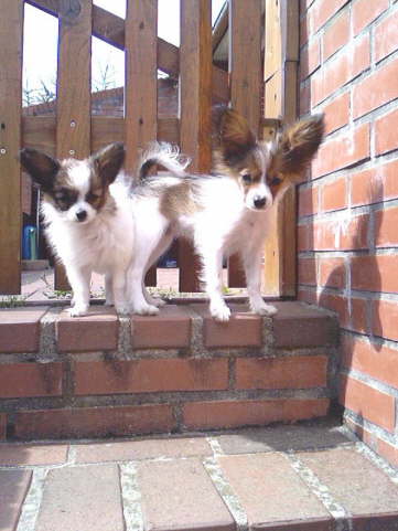 Im neuen Zuhause mit neuer Freundin.