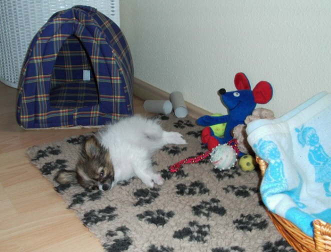 So gem�tlich ist es hier.