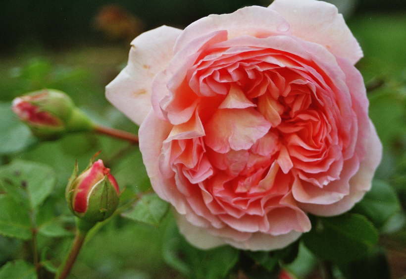 Abraham Darby
