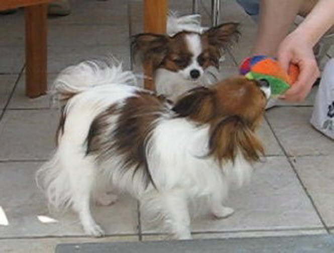 Adi und Alina 