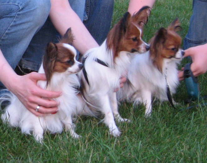 Adi, Alina und Elisa 