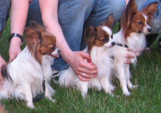 Adi, Alina und Elisa 