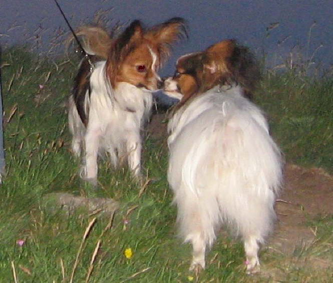 Alex und Elisa 