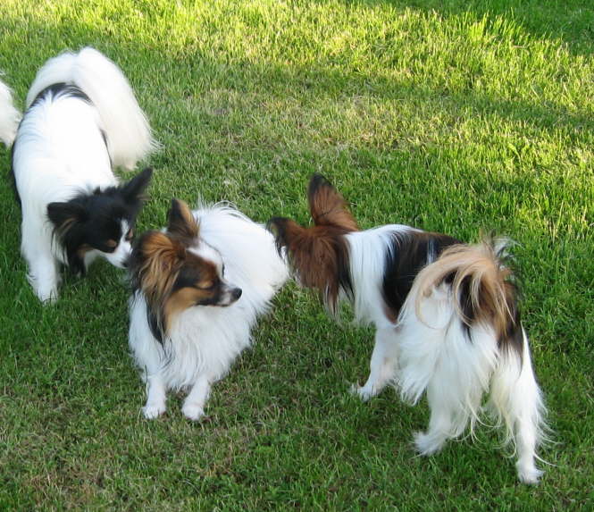 Neo, Alex und Elisa 