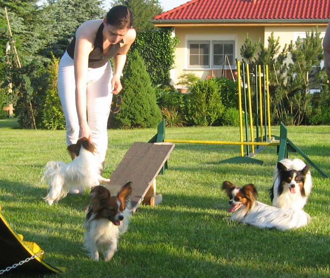 Alina, Elisa, Alex, Neo