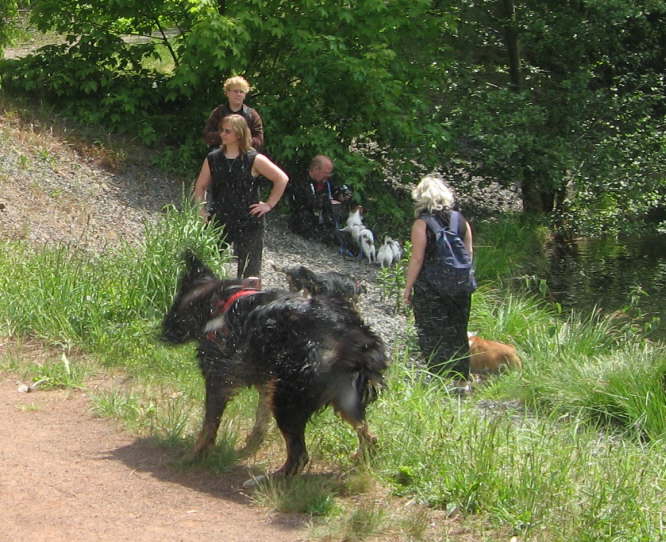 Wer m�chte eine Dusche?