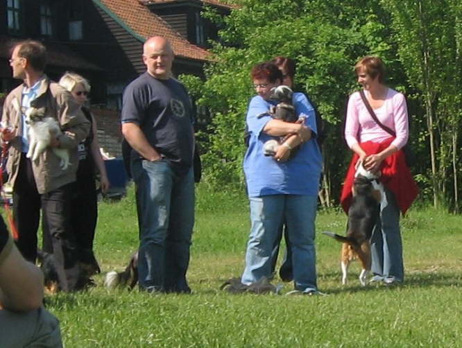 Hundeknuddeln