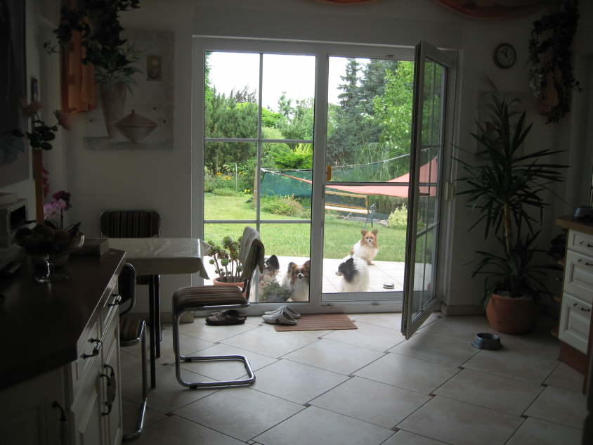 Besuch von Alex und Colin