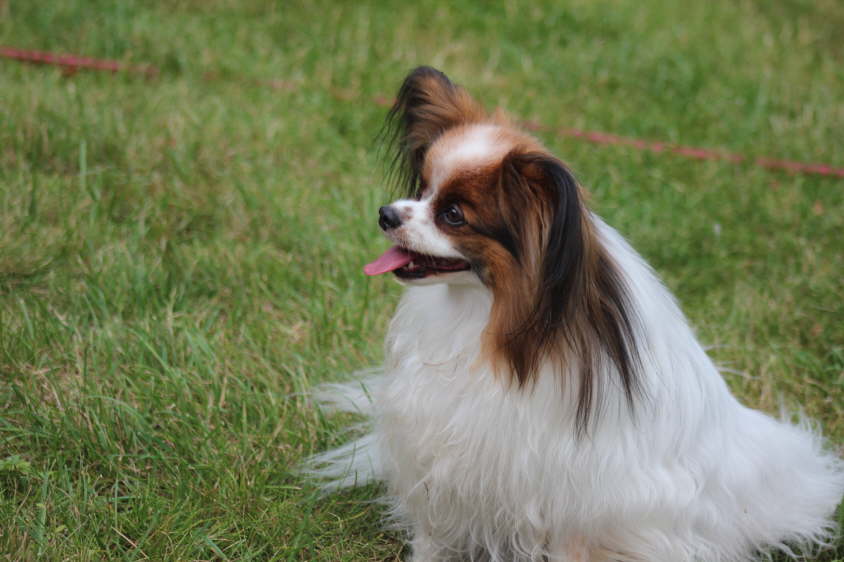 Besuch von Alex und Colin 