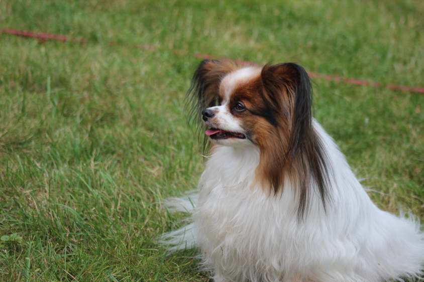 Besuch von Alex und Colin 