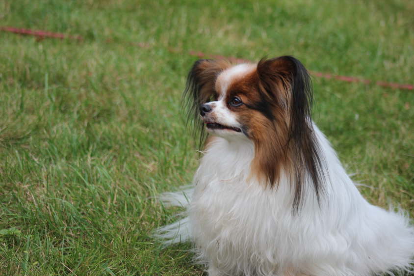 Besuch von Alex und Colin 