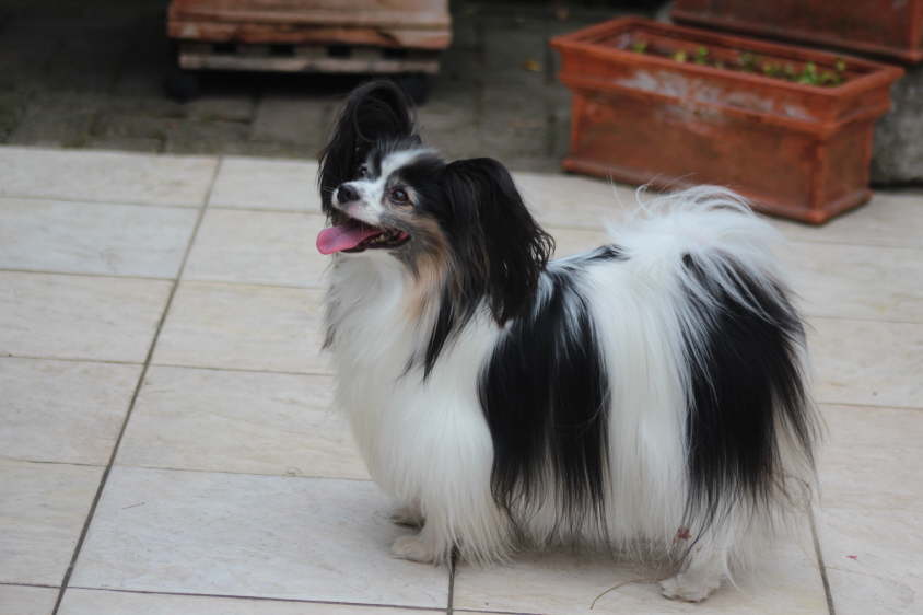 Besuch von Alex und Colin 