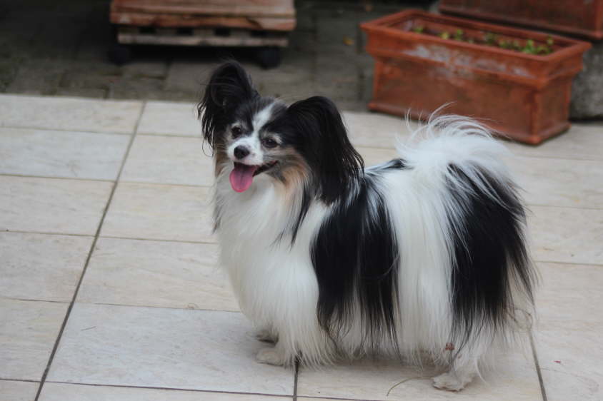 Besuch von Alex und Colin 