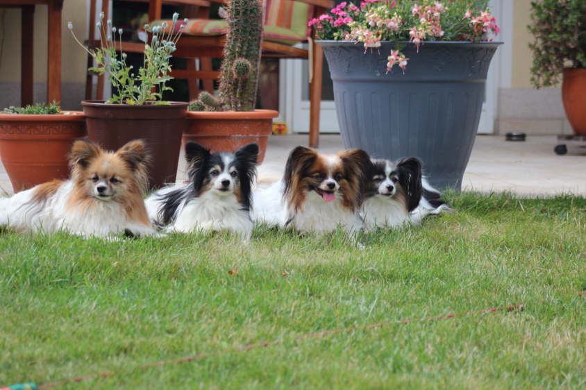 Besuch von Alex und Colin 2 022