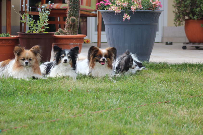 Besuch von Alex und Colin 