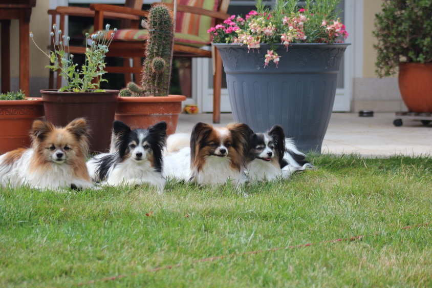 Besuch von Alex und Colin 