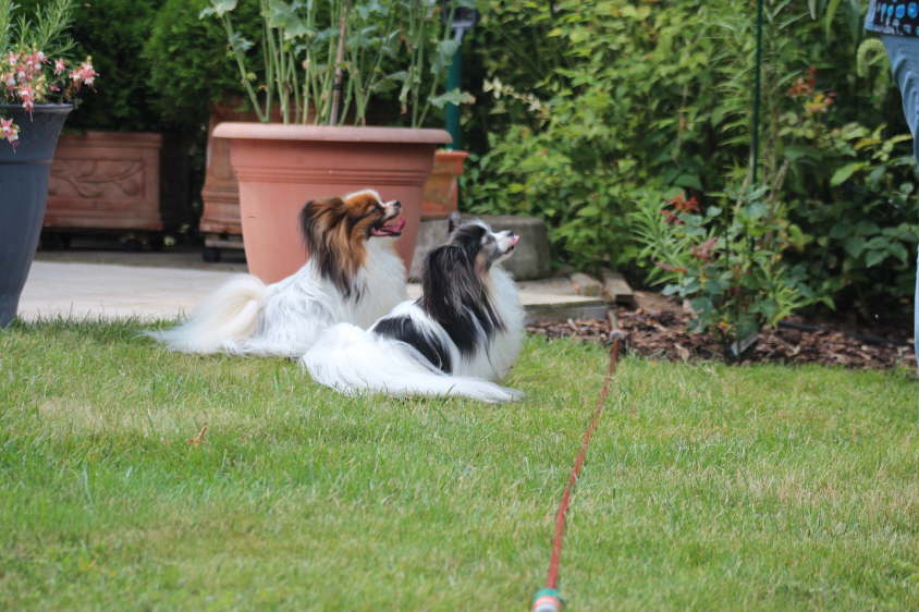 Besuch von Alex und Colin 